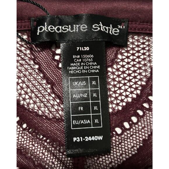 Pleasure State Panties Mid Brief Amelia Size XL Underwear NWT Fig Intimates - Picture 6 of 8